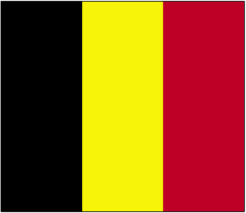 De vlag van België