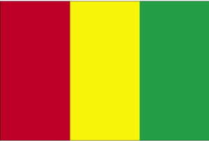 De vlag van Guinee