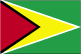 De vlag van Guyana