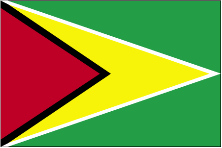 De vlag van Guyana