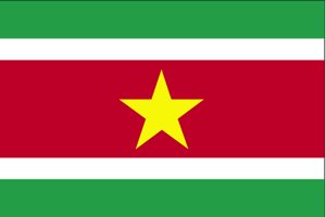 De vlag van Suriname