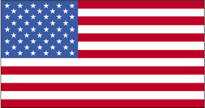 The flag of Wake Island